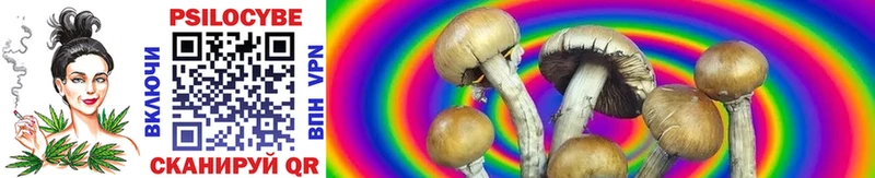 купить наркотики сайты  Володарск  Галлюциногенные грибы Cubensis 